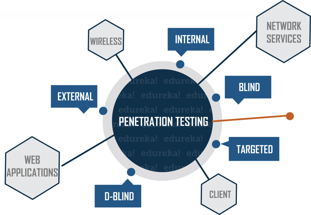 pentesting types